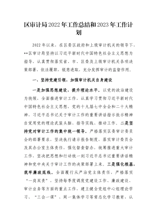 区审计局2022年工作总结和2023年工作计划
