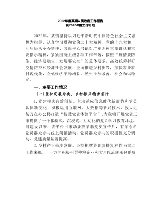 2022年度某镇人民政府工作报告及2023年度工作计划