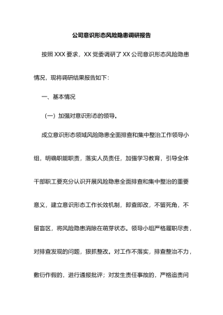 公司ysxt风险隐患调研报告