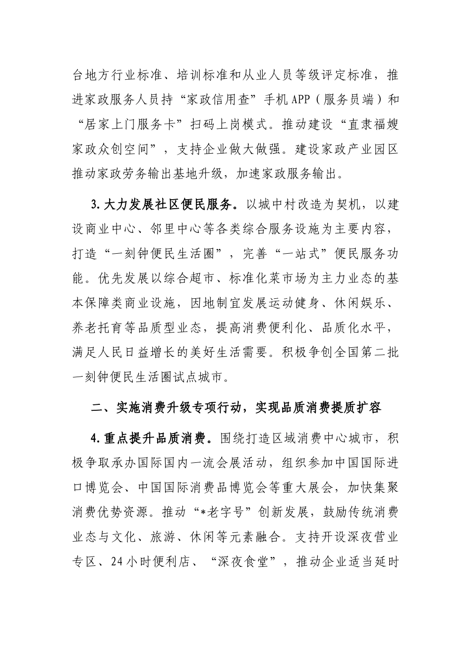 2023年市商务工作要点_第3页