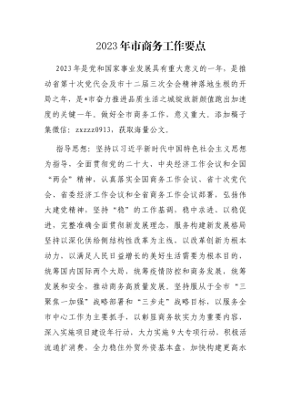 2023年市商务工作要点