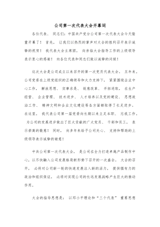 公司第一次代表大会开幕词