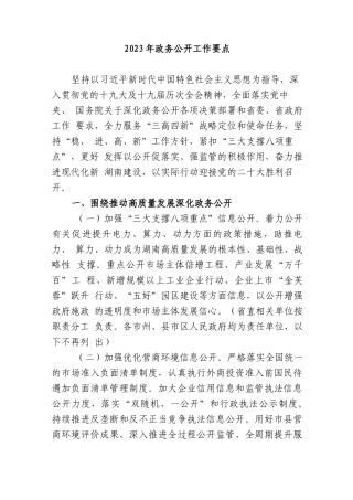 2023年政务公开工作要点