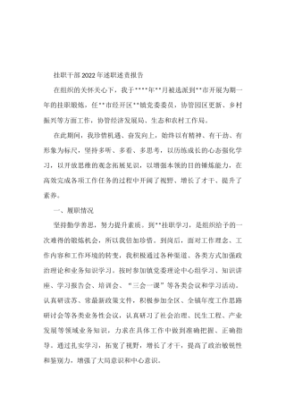 挂职干部2022年述职述责报告