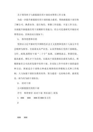 关于领导班子与新提拔任用干部结对帮带工作方案