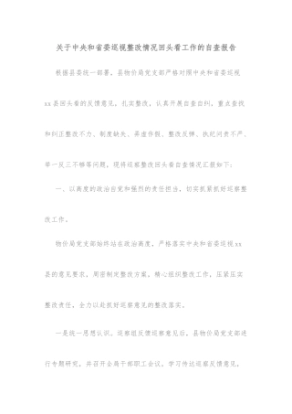 关于中央和省委巡视整改情况回头看工作的自查报告