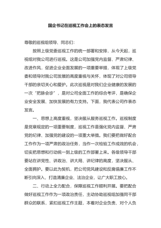 国企书记在巡视工作会上的表态发言