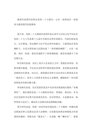 湖南代表团代表热议党的二十大报告：心往一处想劲往一处使 奋力建设现代化新湖南（20221020）