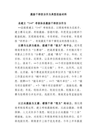 激励干部担当作为典型经验材料