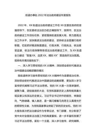 街道办事处2022年法治政府建设年度报告