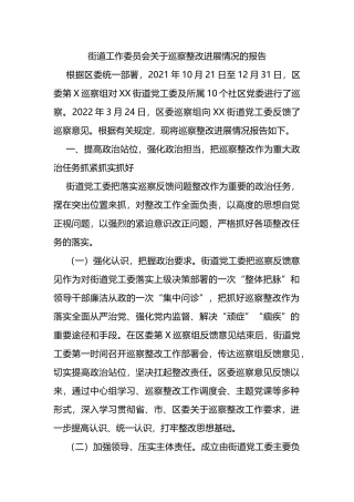 街道工作委员会关于巡察整改进展情况的报告