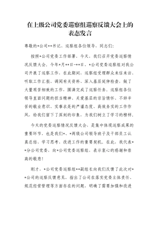 在上级公司党委巡察组巡察反馈大会上的表态发言