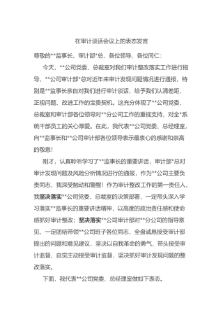 在审计谈话会议上的表态发言