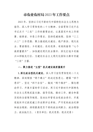 市农业农村局2023年工作要点