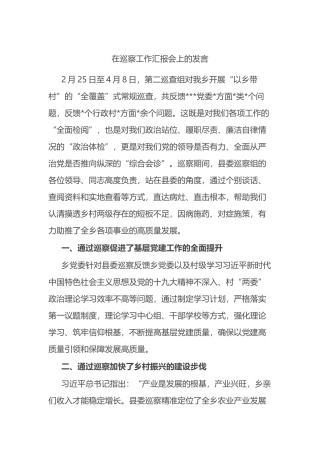在巡察工作汇报会上的发言