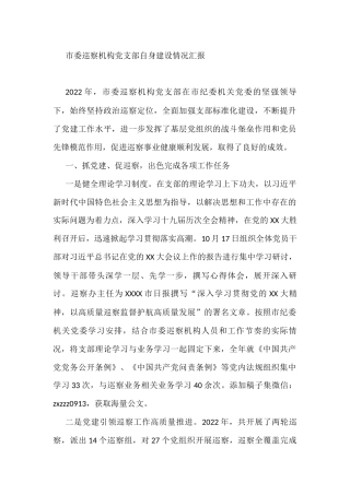 市委巡察机构党支部自身建设情况汇报