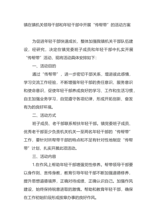 镇机关领导干部和年轻干部中开展“传帮带”的活动方案