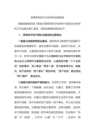 乡镇领导班子和班子成员分析研判自查报告