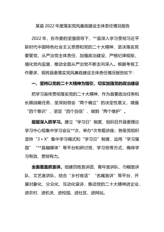 某县2022年度落实党风廉政建设主体责任情况报告