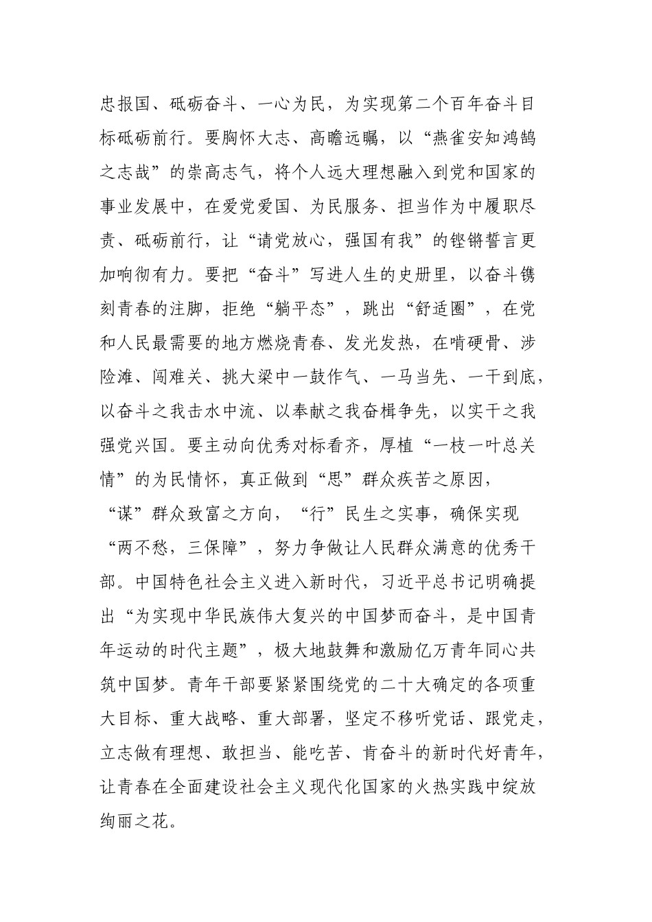 在2023年青年干部座谈会上的讲话提纲_第2页
