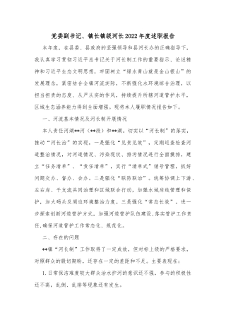 党委副书记、镇长镇级河长2022年度述职报告