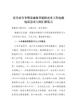 在全市今冬明春森林草原防灭火工作电视电话会议上的汇报发言