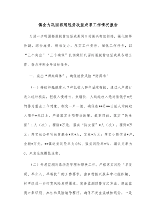 镇全力巩固拓展脱贫攻坚成果工作情况报告