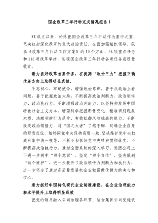 (2篇)2022-2023年公司国企改革三年行动完成情况总结报告