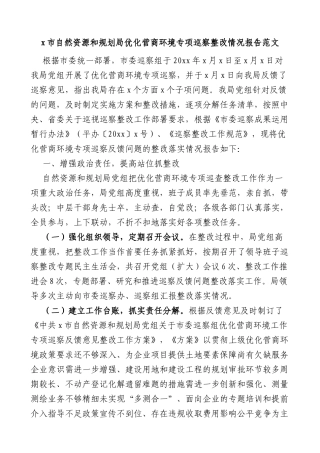 市自然资源和规划局优化营商环境专项巡察整改情况报告范文