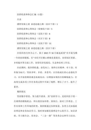 挂职收获和体会汇编（5篇）