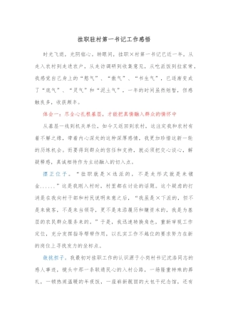 挂职驻村第一书记工作感悟