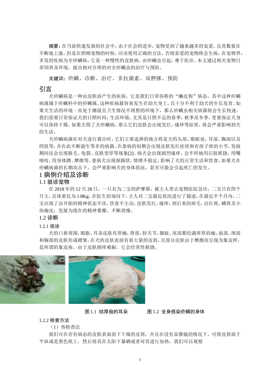 犬传染病的诊断与治疗——以一例犬疥螨病的诊断与治疗为例_第2页