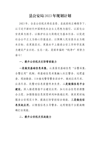 县公安局2023年规划计划