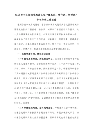 XX局关于巩固深化执法队伍“强基础、转作风、树形象”专项行动工作总结