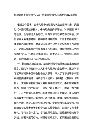 纪检监察干部学习十九届七中全会公报感悟