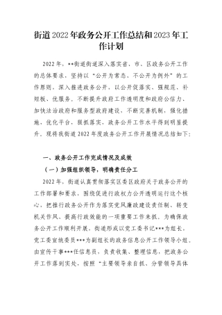 街道2022年政务公开工作总结和2023年工作计划