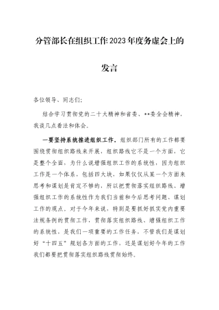 分管部长在组织工作2023年度务虚会上的发言