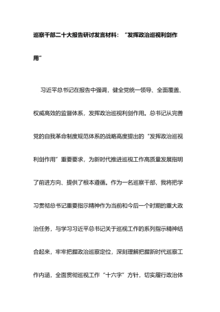 巡察干部二十大报告研讨发言材料