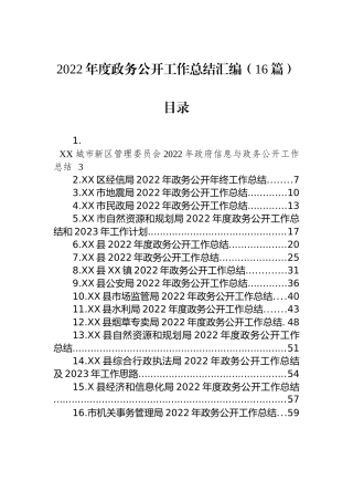 2022年度政务公开工作总结汇编（16篇）