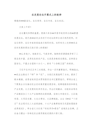 在发展论坛开幕式上的致辞
