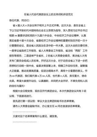 在省人代会代表团会议上的主持词和讲话