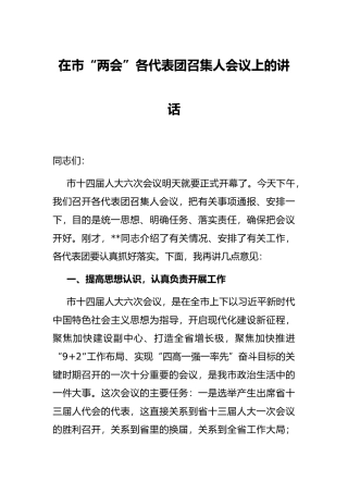 在市“两会”各代表团召集人会议上的讲话