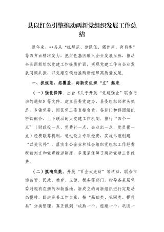 县以红色引擎推动两新党组织发展工作总结