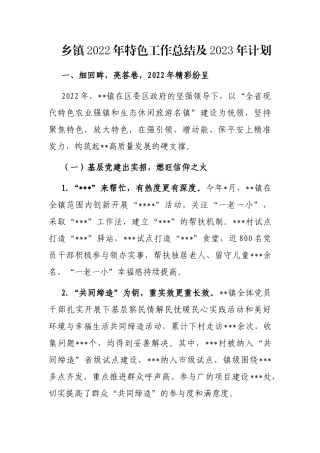 乡镇2022年特色工作总结及2023年计划