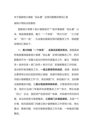 关于国家统计督察“回头看”反馈问题整改情况汇报