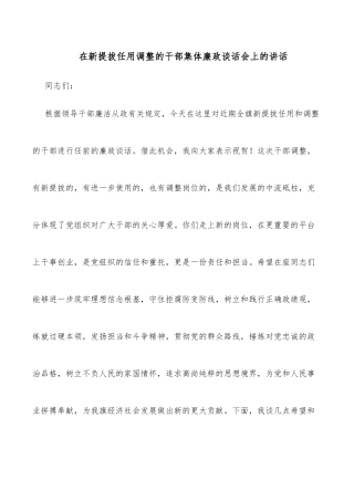 在新提拔任用调整的干部集体廉政谈话会上的讲话