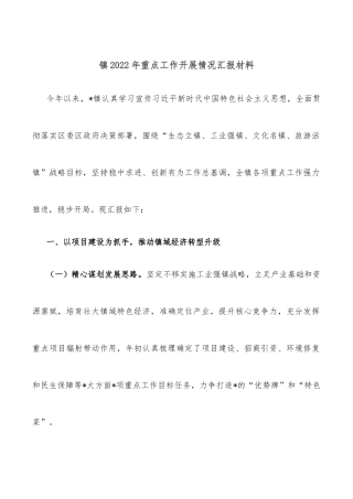 镇2022年重点工作开展情况汇报材料