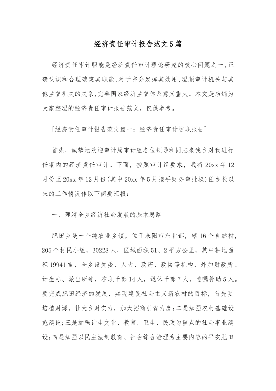 (5篇)经济责任审计报告范文_第1页