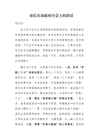 市长在市政府全会上的讲话