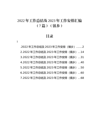 2022年工作总结及2023年工作安排汇编（7篇）（镇乡）